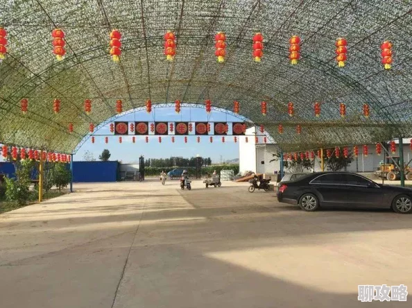 全面掌握农场小游戏攻略与玩法技巧：精选策略一网打尽指南