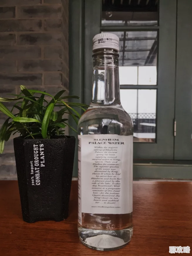 光与夜之恋小酌一杯Day1独家秘制配方全揭秘：打造浪漫微醺初体验详细指南