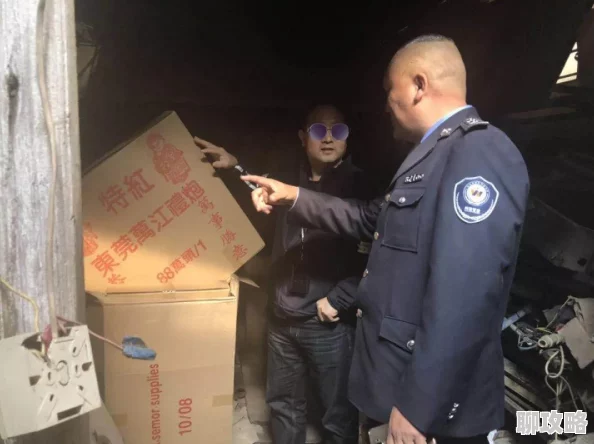 植物大战僵尸2大爆竹属性效果全解析：爆炸伤害与休息时间优化详解