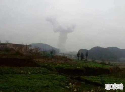 植物大战僵尸2大爆竹属性效果全解析：爆炸伤害与休息时间优化详解