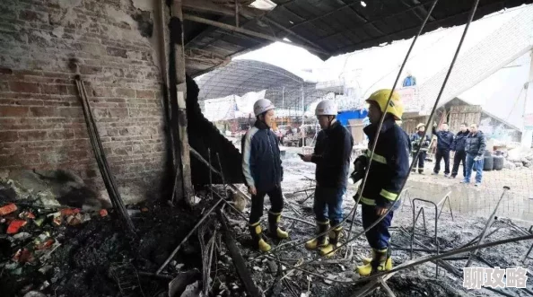 植物大战僵尸2大爆竹属性效果全解析：爆炸伤害与休息时间优化详解