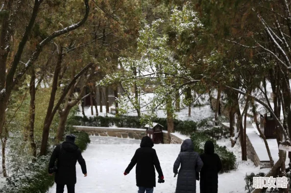 《雪人兄弟 仙境》今日震撼发售，支持最多4人联机共闯奇幻之旅！