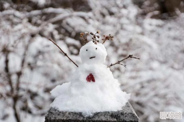 《雪人兄弟 仙境》今日震撼发售，支持最多4人联机共闯奇幻之旅！