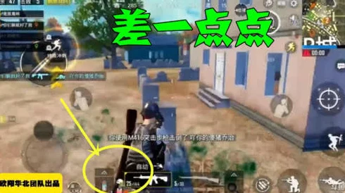 蛙爷的进化之旅：解锁脆皮秒杀流新玩法，全面攻略助你制霸战场