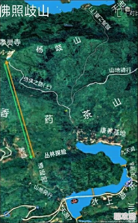 问剑长生：解锁心法等阶高效提升策略与全面修炼指南