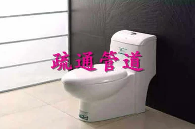 三谋S4金马桶队深度玩法解析：高效组建与实战攻略全揭秘