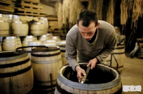 露玛岛：深度解析酿酒师职业特点，探索岛屿上的酒香奥秘