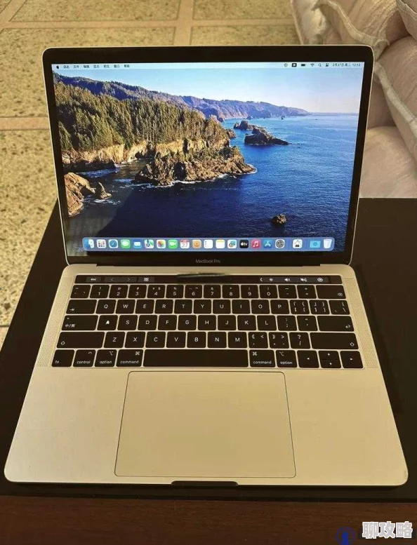 1819岁macbookpro高清100861漂亮的保姆