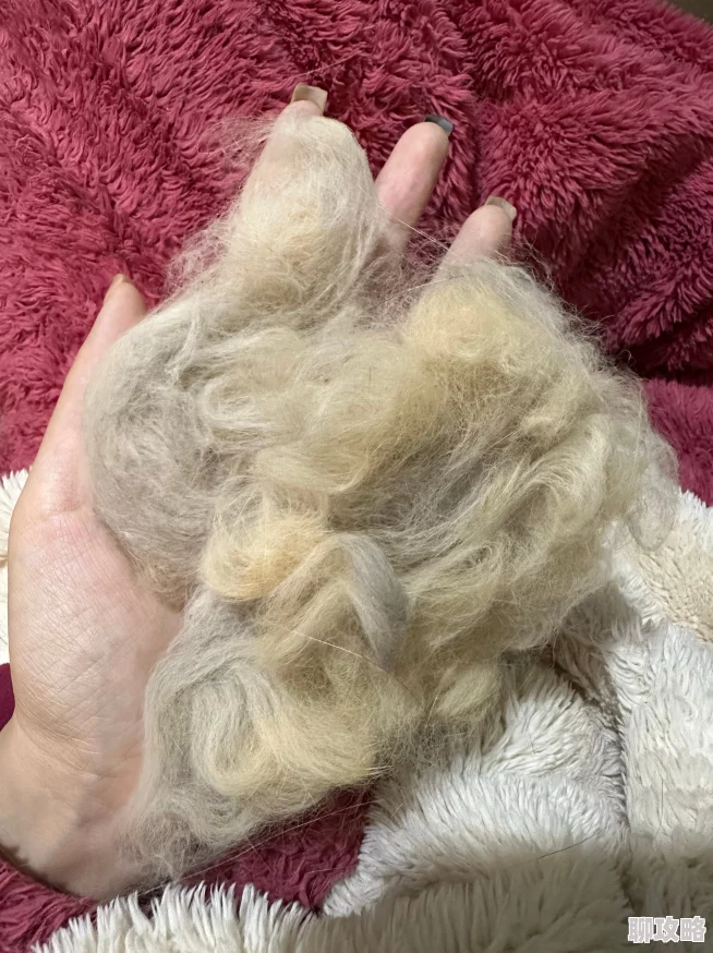 毛片毛片毛片毛片毛片毛片指的是一种特殊的纺织品原料