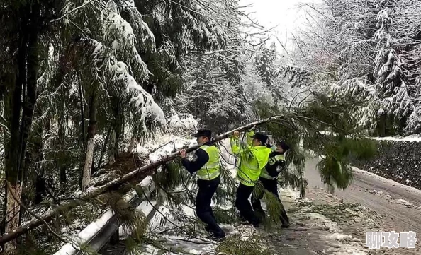 回乡大巴车最后一排你的天空 回乡大巴车最后一排你的天空