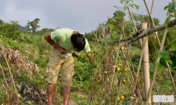 回乡大巴车最后一排你的天空 回乡大巴车最后一排你的天空