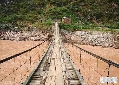 马帮的孩子这部电影真诚感人，展现了云南少数民族的生活风貌