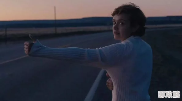 致命顺风车这部电影太刺激了，情节紧凑让人紧张到窒息