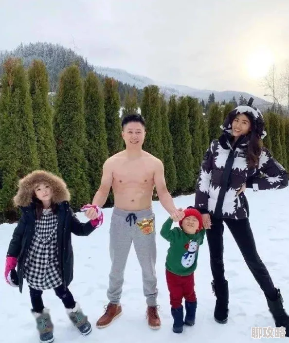 石器时代2属性相克深度剖析：网友热议游戏中不同属性的战略优劣势与克制关系