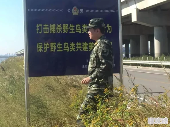 欧洲无人区码头IV在哪新鲜事是当地举办了首次无人机表演比赛