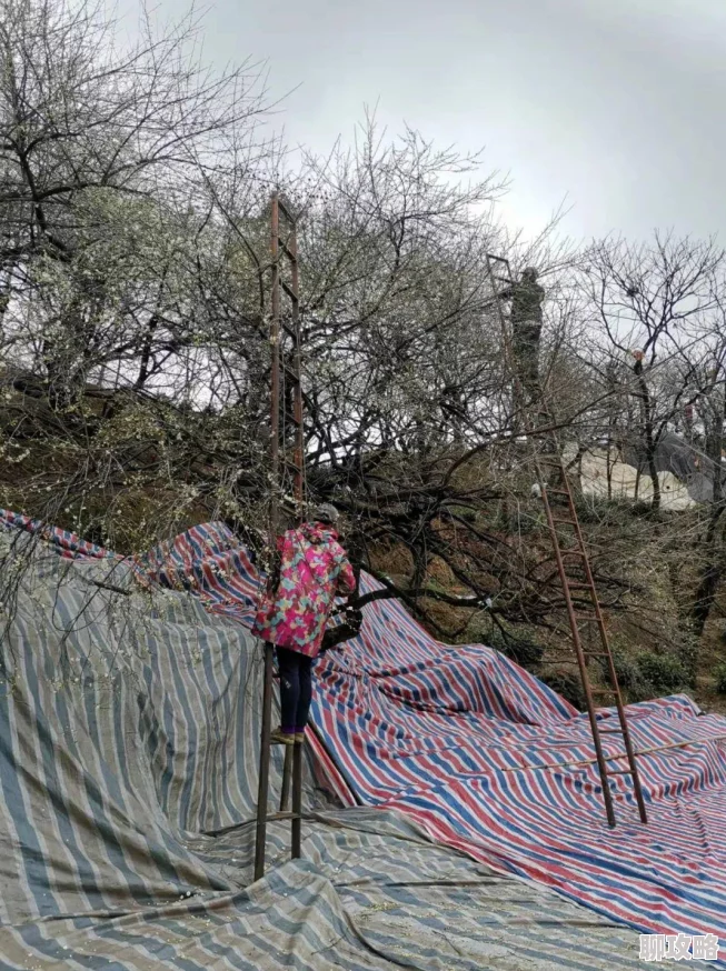 女人张开腿让男人捅爽最近研究发现这种行为有助于增强夫妻感情和性生活质量 女人张开腿让男人捅爽最近研究发现这种行为有助于增强夫妻感情和性生活质量