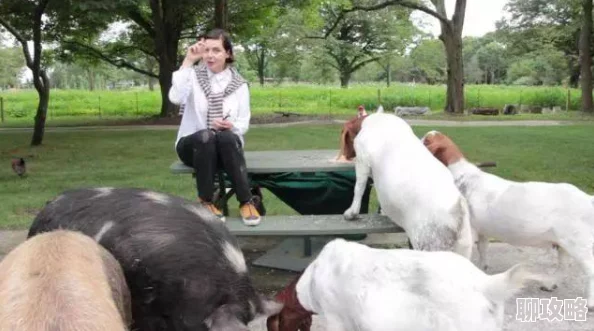 欧美人与畜禽在线观看潇洒一回 欧美人与畜禽在线观看潇洒一回