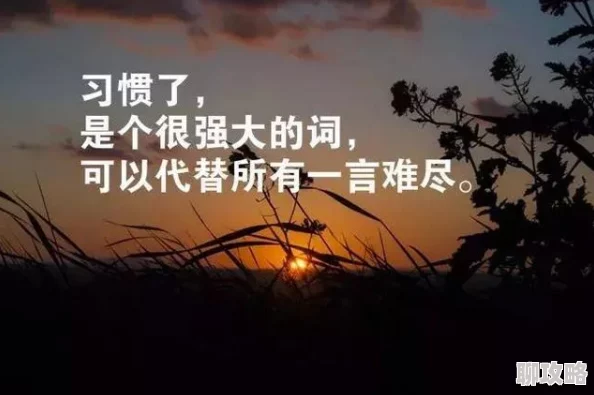 穿进总受文里怎么办相信自己每一步都在成长未来会更加美好