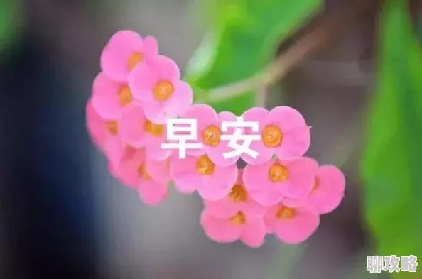梦落繁花蓝雪生活充满希望与美好每一天都是新的开始