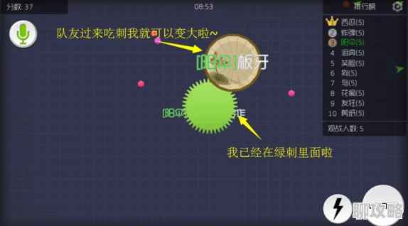 精品国产第一国产综合精品gif球球大作战高手攻略：推刺与吐刺的实战方法与技巧全面分享