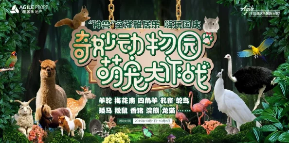 疯狂动物园新风尚：揭秘动物网红崛起之路——论一名合格萌宠博主的自我修炼与新鲜玩法