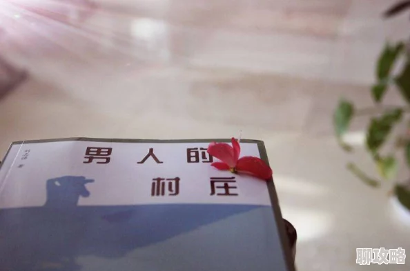 乡村活寡小说全文阅读近日该小说在网络上引发热议读者纷纷分享自己的阅读感受