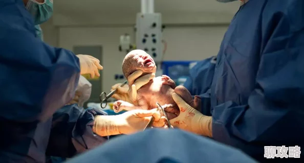 插入子宫小说该小说近日在网络上引发热议，读者反响热烈，讨论情节与角色发展。