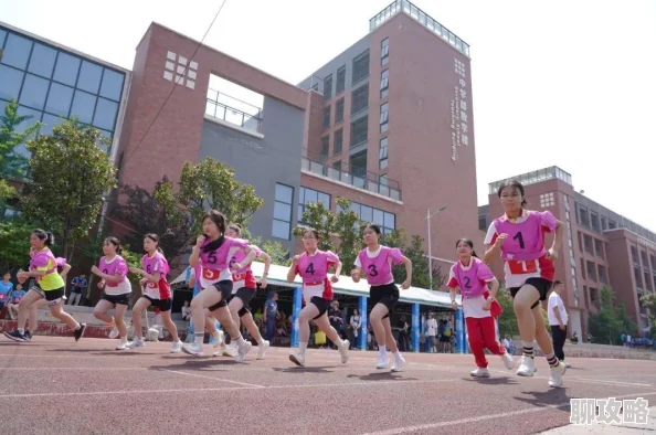 2024大唐双龙传宠物新风向：全面解析哪个宠物最强，最新排行榜揭晓