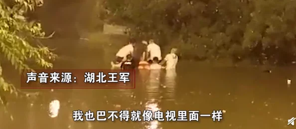 老何大战雨婷完整版小说乱世春秋携手共进迎接美好未来勇敢追梦不负韶华