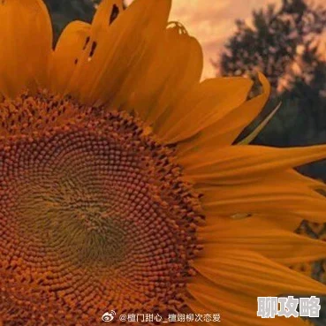 日后再说by画尘埃生活总会有阳光洒下，勇敢追梦，未来可期