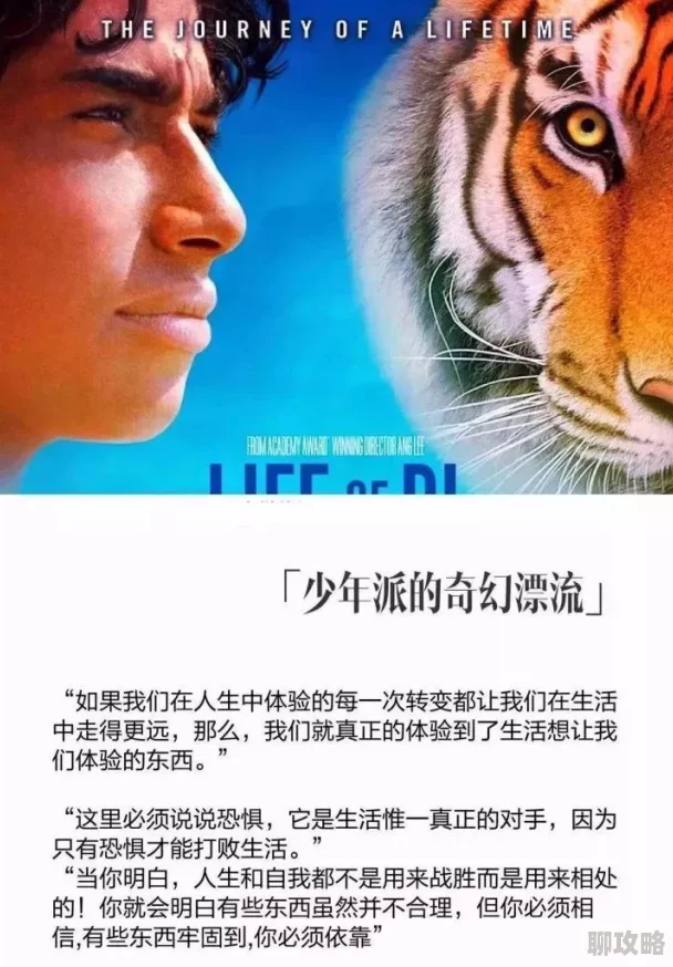 4虎影视她们的孩子未来充满希望与可能，勇敢追梦成就精彩人生