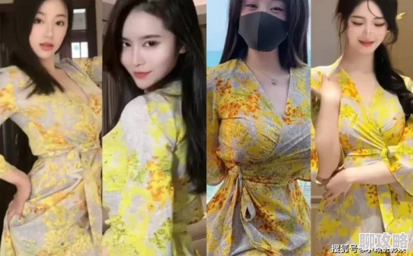 黄色视频在线免费观看更新至1080P高清完整版立即观看