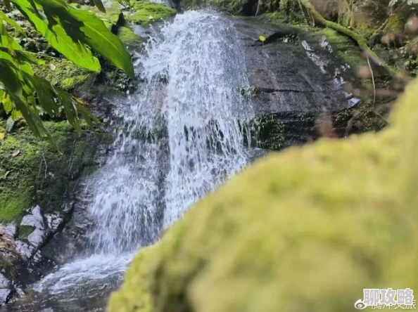 溪水长流免费全文阅读已更新至第120章神秘山谷探险开启