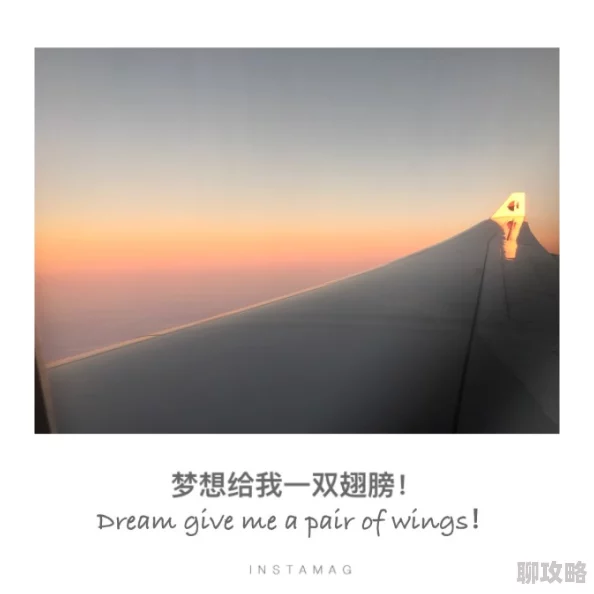 再深点灬舒服灬太大了电子书23号灯塔第二季勇敢追梦点亮人生希望之光