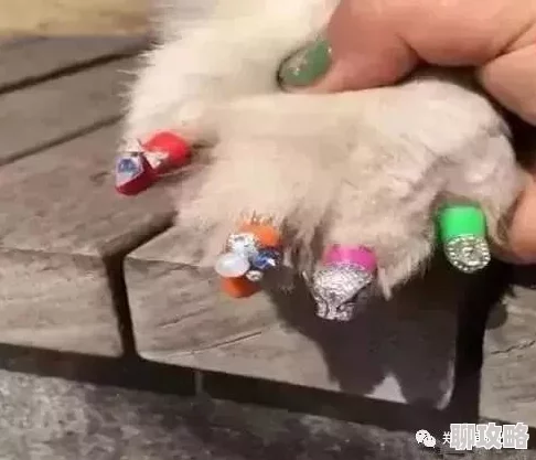 女人与狗交小说每个人都值得拥有真挚的友谊与爱，生活因陪伴而更加美好