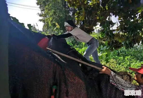 它变大了你感觉到了一起探恋爱携手共进勇敢追求真爱幸福就在身边