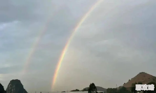 xsehu271生活中总有阳光洒落，勇敢追梦，未来可期