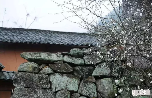 网友热议：仙境传说RO手游清香扑鼻任务高效通关全攻略