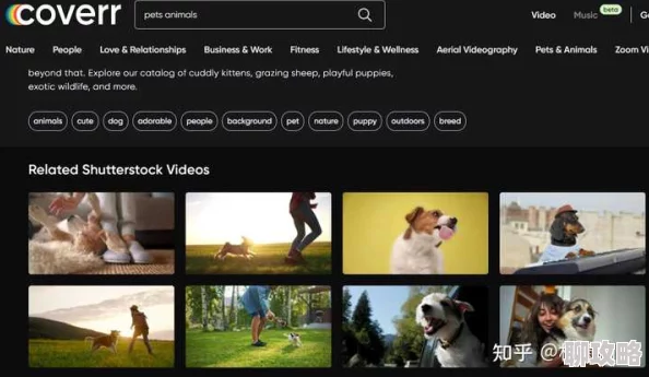 欧美WWW新增高清视频资源优化播放速度