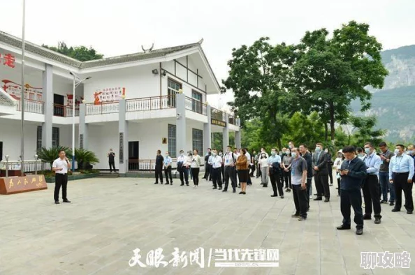 数码宝贝X进化：深度解析神秘商船系统玩法功能，网友热议新体验！