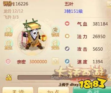 大话西游手游：网友热议平民千元打造极致血队PK搭配推荐