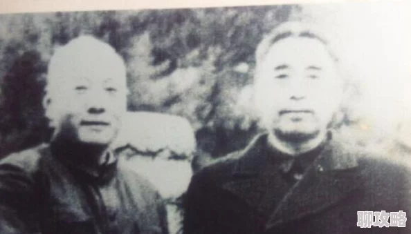 网友热议：无双兵团手游中刘备技能情义深度解读与评价