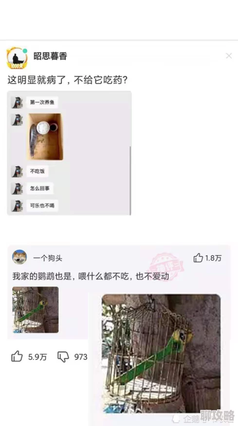 男人吃女人的胸令人震惊的视频在网上疯传引发网友强烈谴责