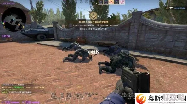 暴躁老姐的CSGO心得分享小说全网首发百万点击人气火爆