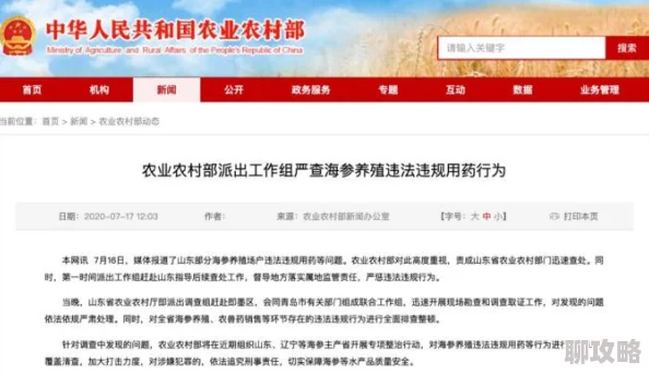 农村乱肉合集乱500篇已被举报至相关部门严查此类违法信息