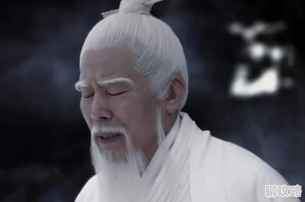 网友热议：少年西游记中极限削弱策略的不同看法与评价