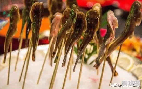 捕鱼来了！网友热评黄金鱼种形象类别全面展示介绍大全