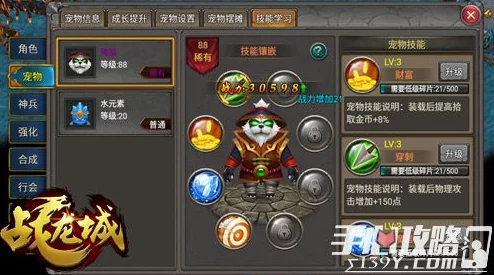 战龙城宠物获取全攻略：网友热议如何打造专属萌宠秘籍