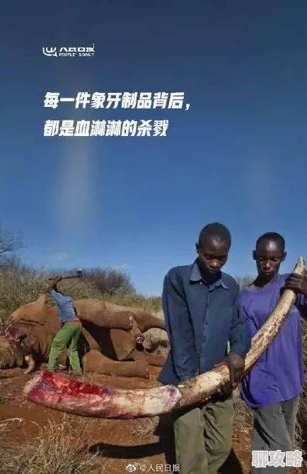 国产乱视频展现了人性的复杂与挣扎并呼吁人们关注社会现实问题