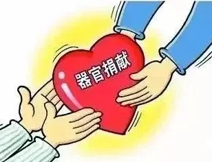 欧美高清老少配性啪啪反映社会伦理道德和两性关系复杂性引发争议
